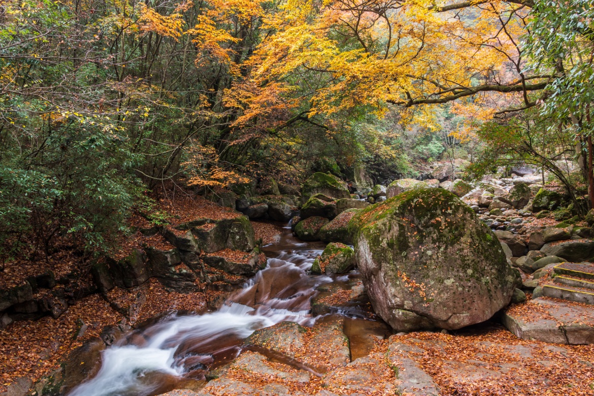 Pushihe Forest Park